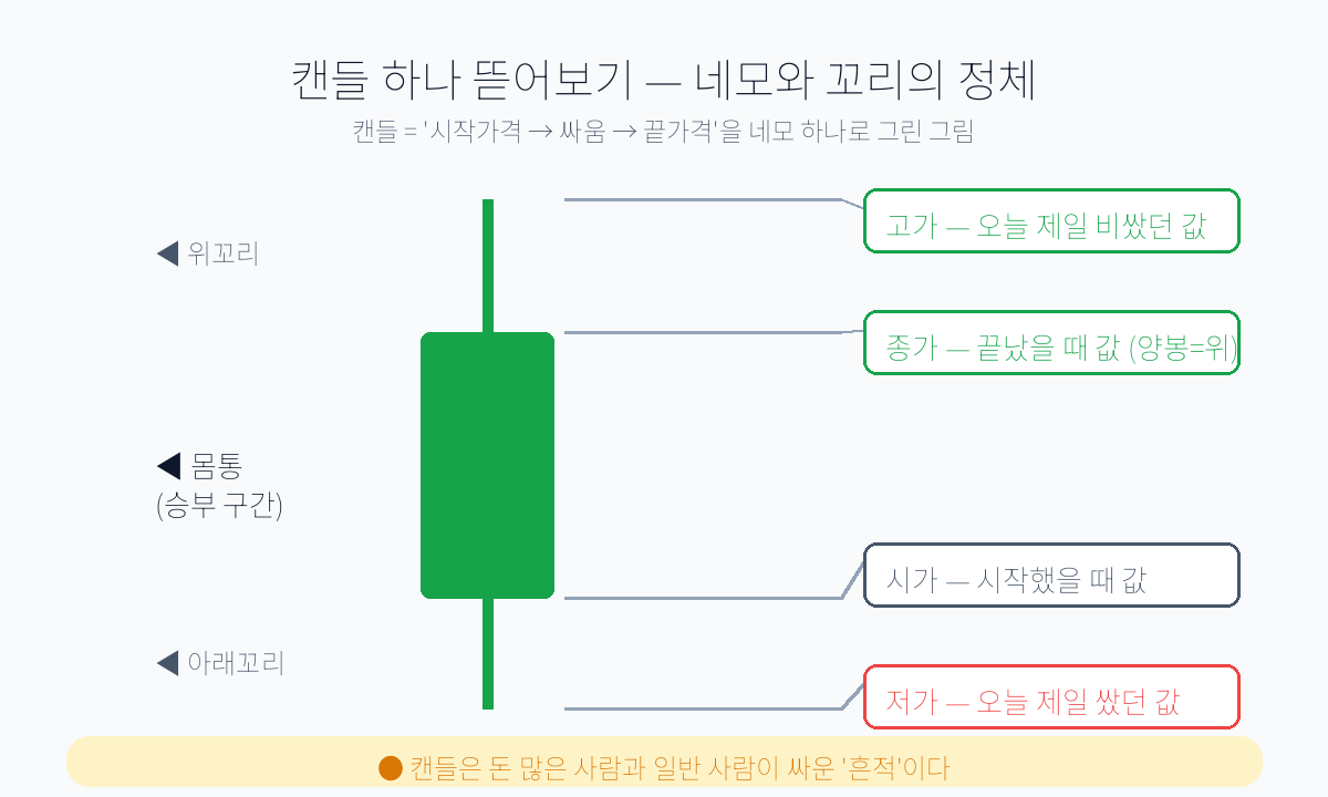 초등학생도 이해하는 캔들 이야기 — 왜 도지는 방향을 정할까? 지지선은 왜 생길까?