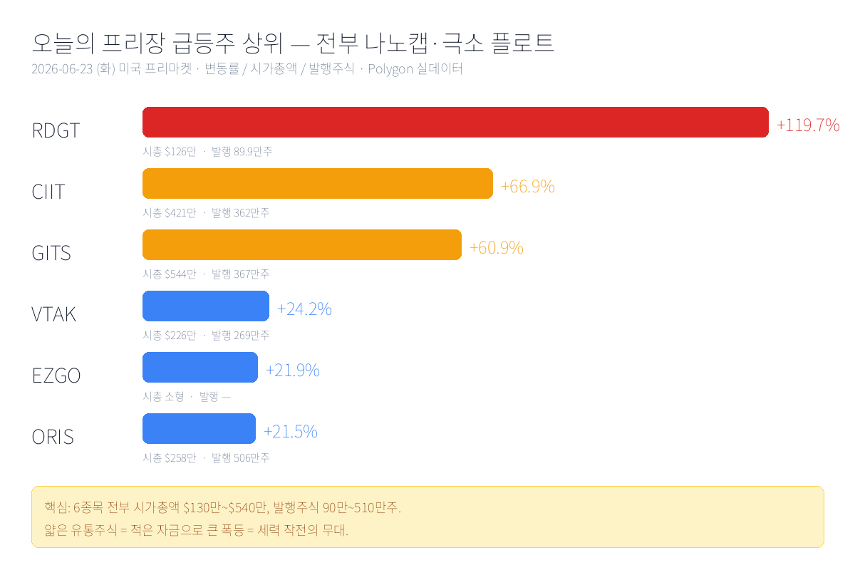 RDGT +119.7% 해부 — 발행주식 89.9만주 나노캡이 20분 만에 +250% 펌프 후 급락한 이유